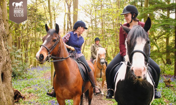 Όμιλος Ιππικής Αντοχής | Αυλώνα